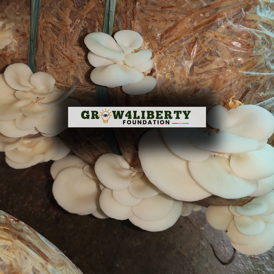 Spawning & Inoculation