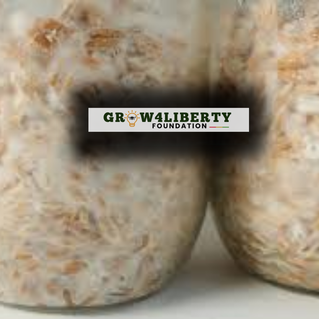 Substrate Preparation