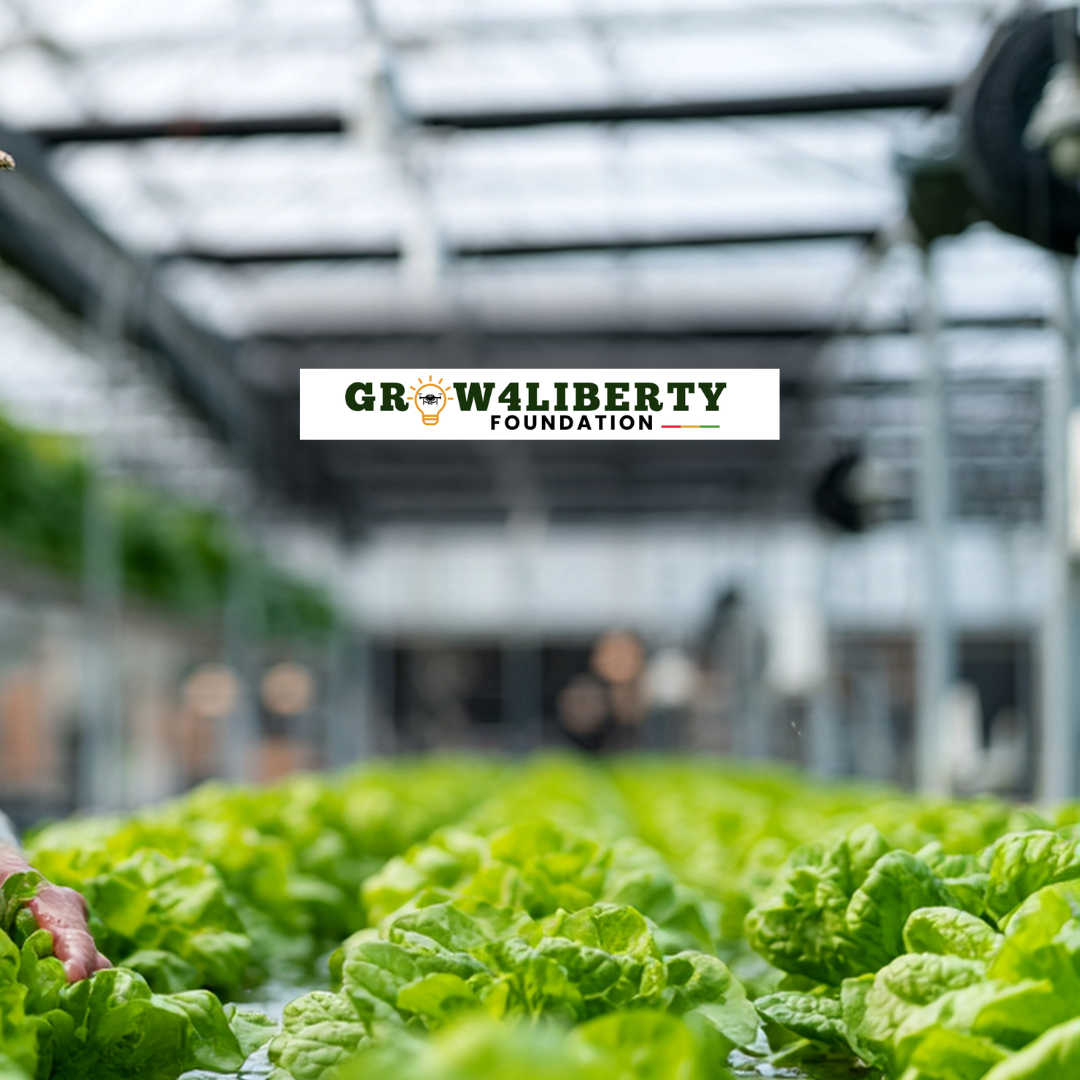 Urban Farming